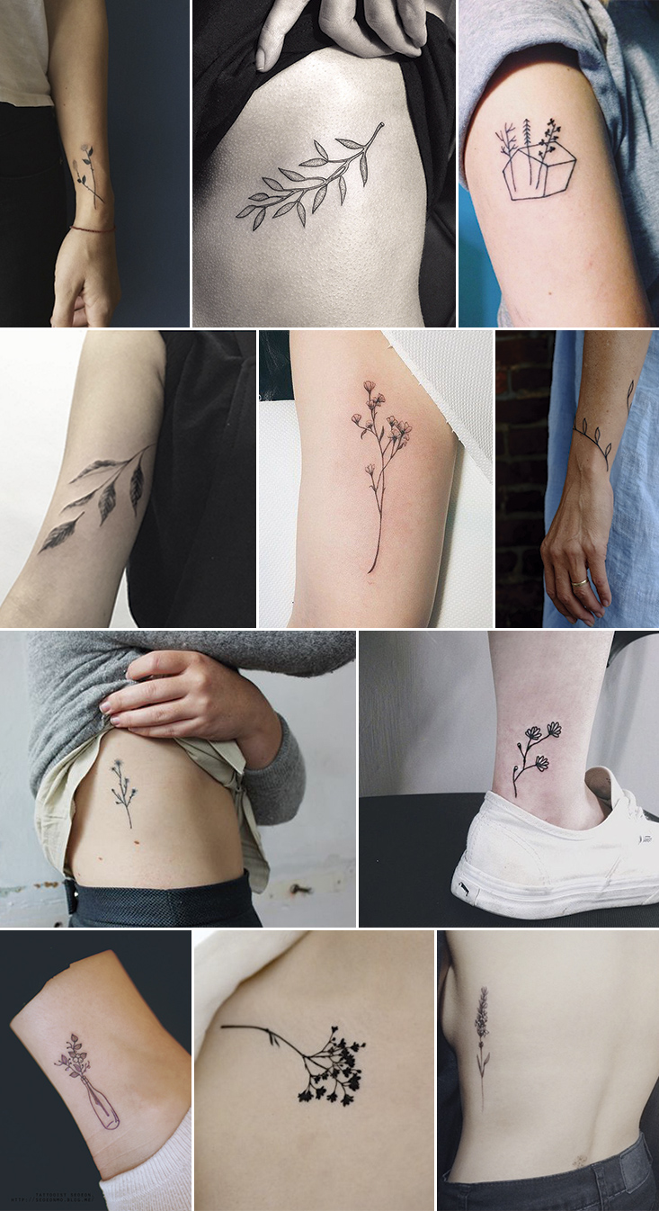 Inspiration Tattoos Botaniques Mango And Salt
