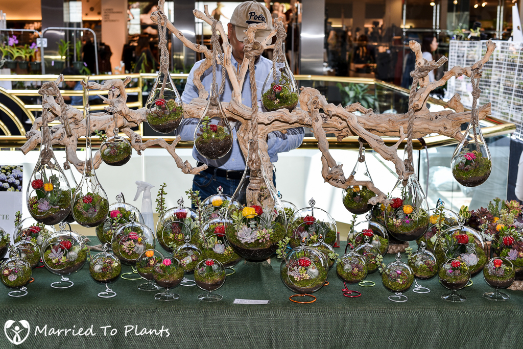 Southern California Spring Garden Show At Home in The Garden