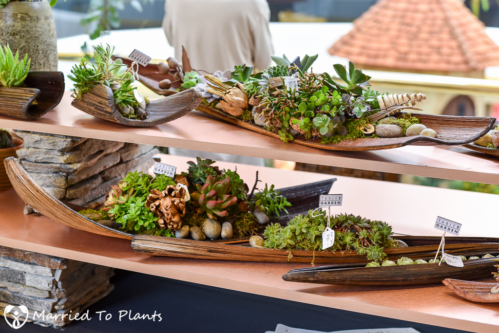 Southern California Spring Garden Show At Home in The Garden