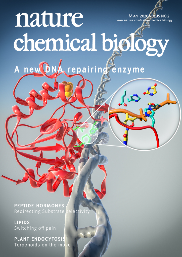 nature chemical biology cover/논문표지디자인/논문커버디자인/논문커버/논문표지제작