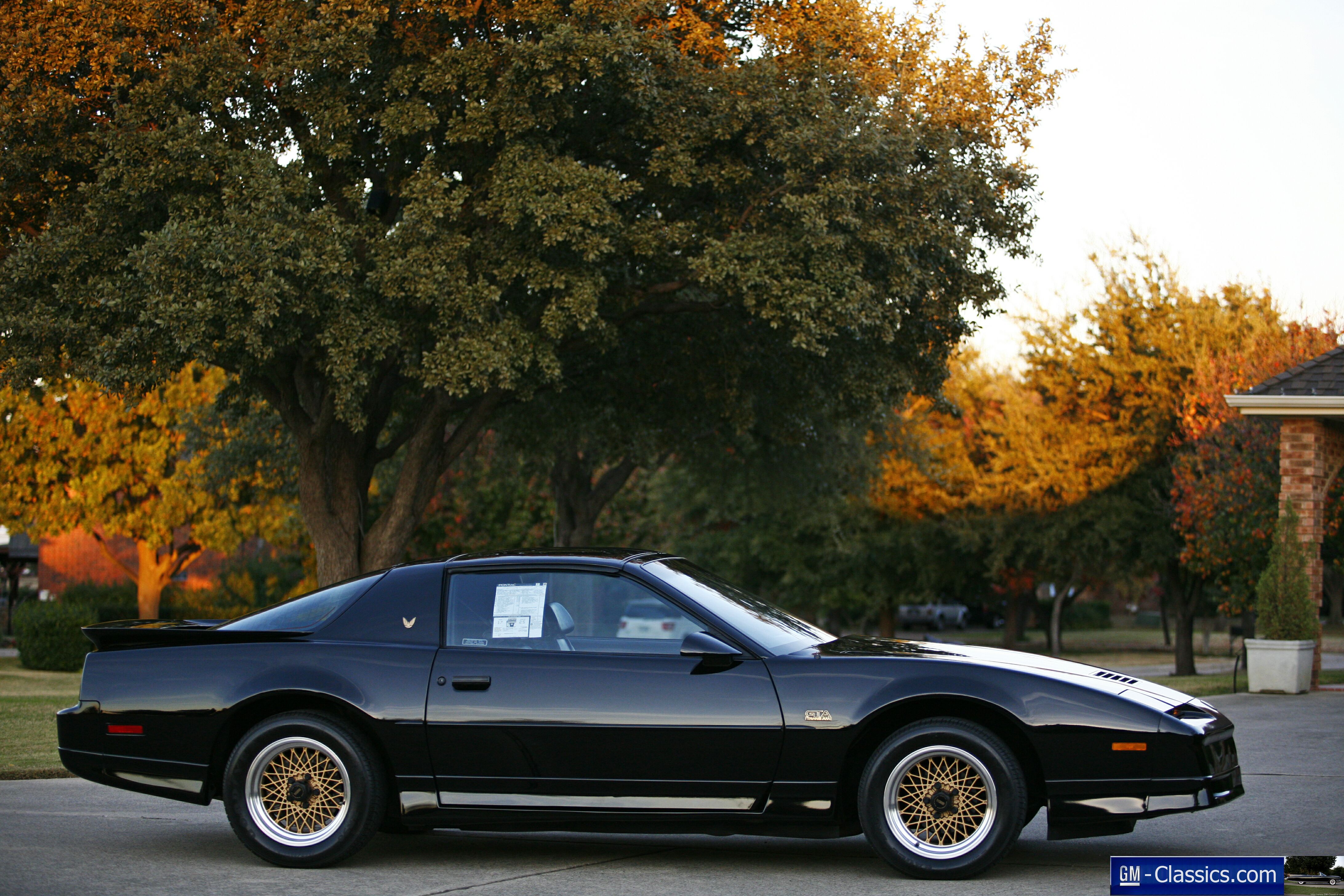 1989 Pontiac Trans Am Gta - Matt Garrett