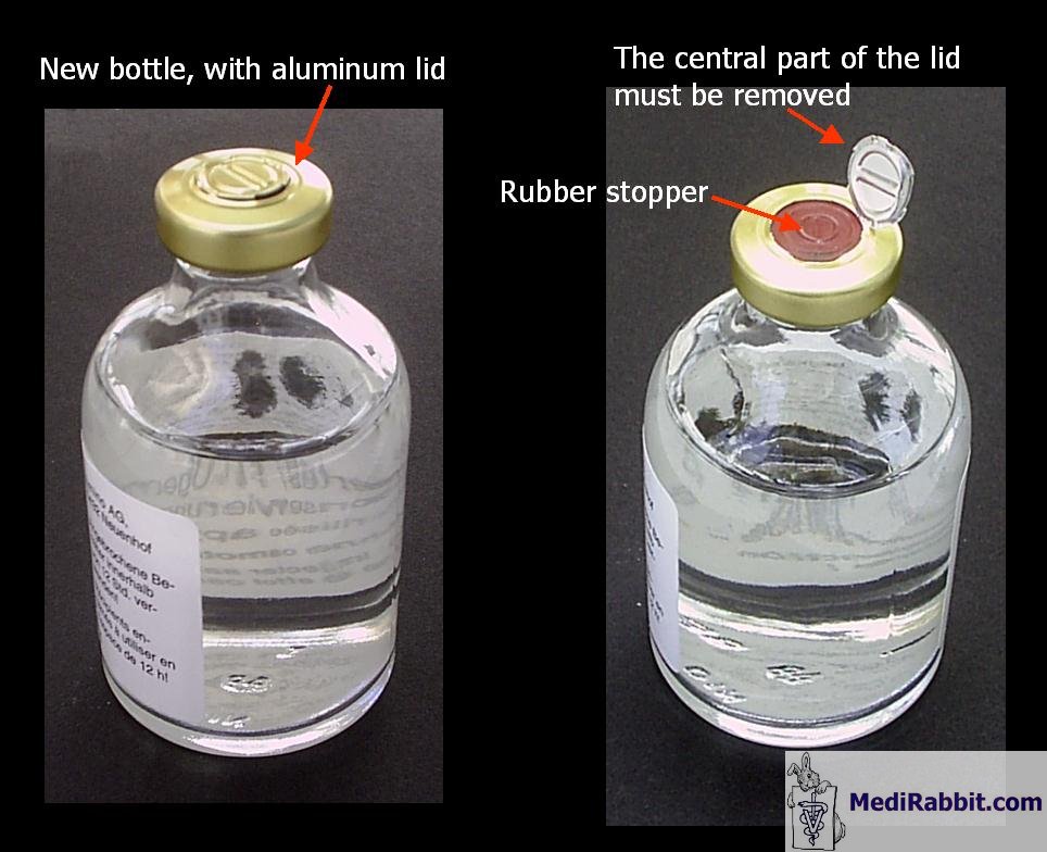 antibiotics dangerous for use in rabbits