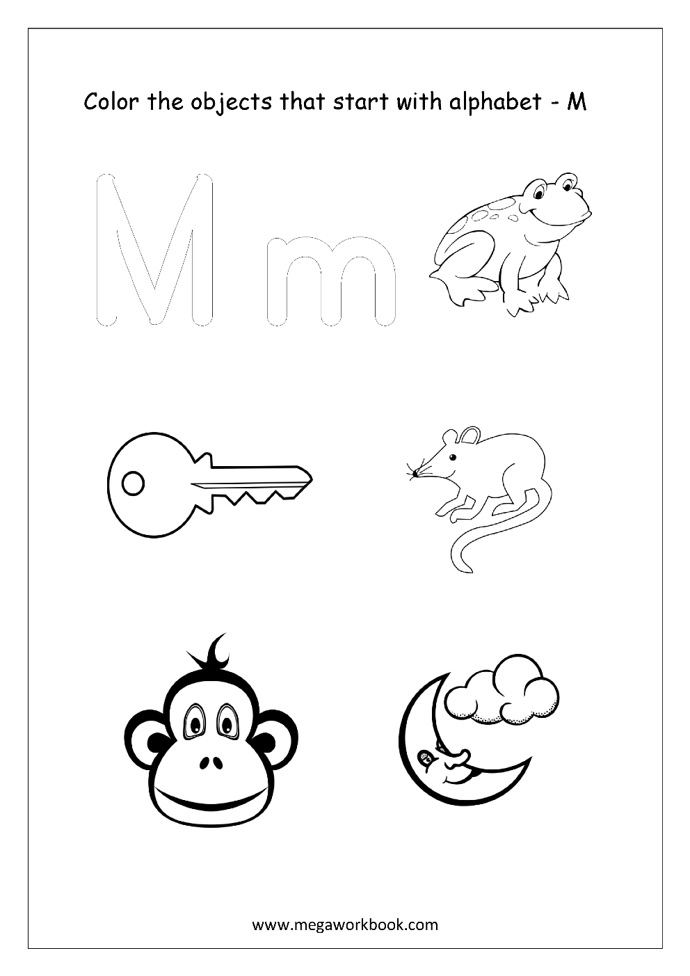 MegaWorkbook MegaWorkbook