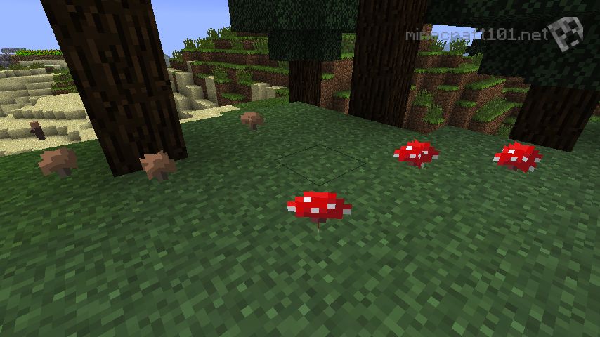 Mushrooms Minecraft 101