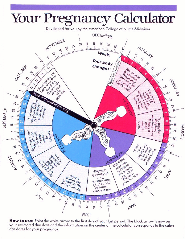 Pregnancy Calculator How to Use It and Know if It’s