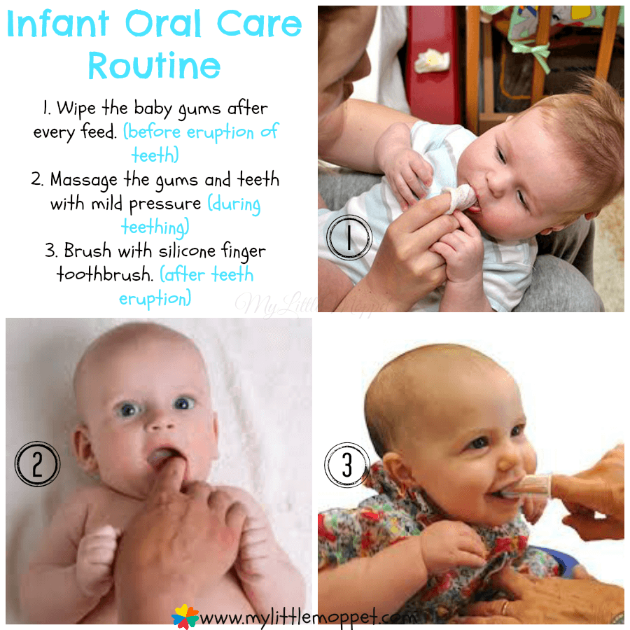 Top 10 Tips for Infant Oral Health Care and Hygiene My Little Moppet