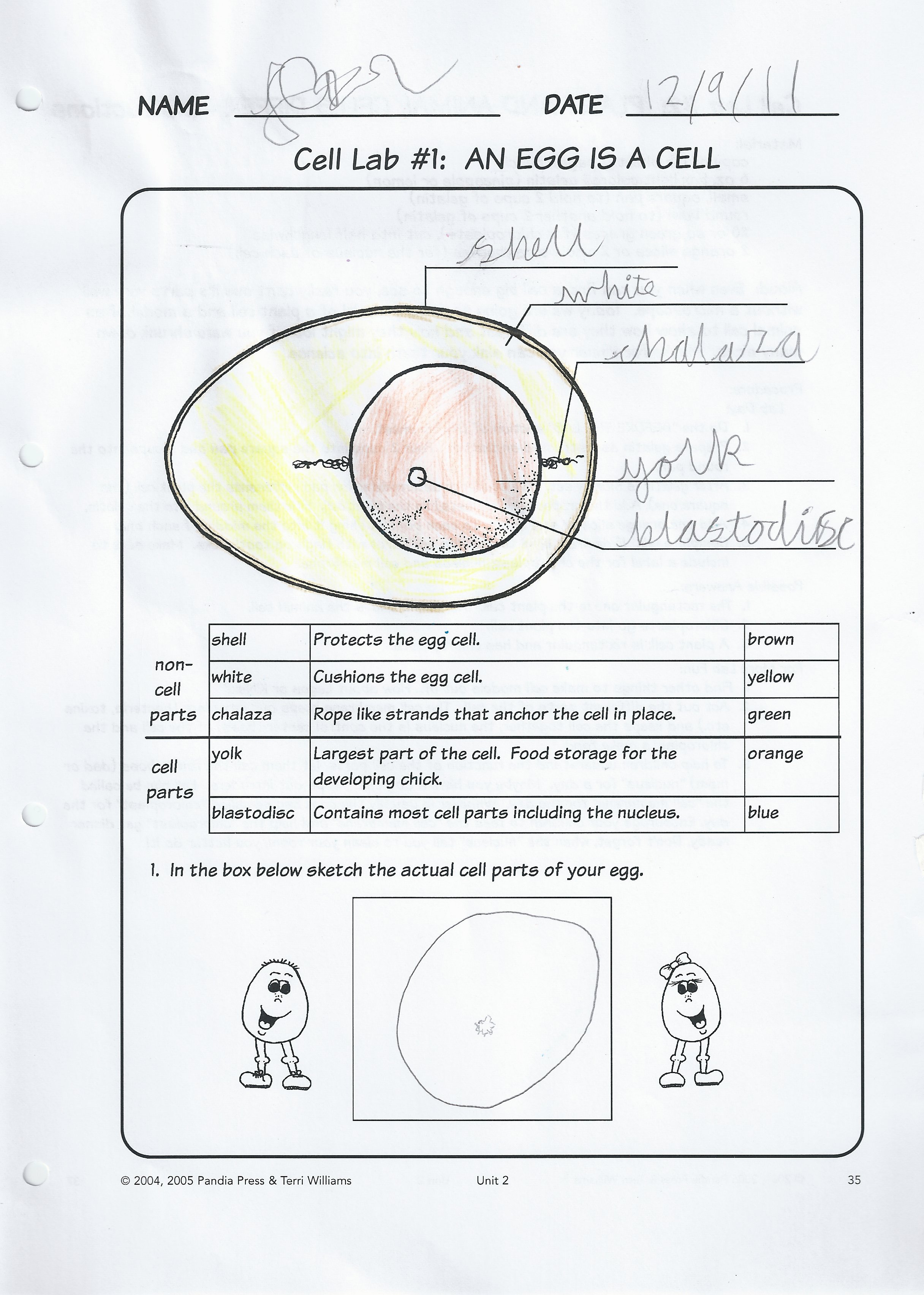 Science And Eggs Navigating By Joy