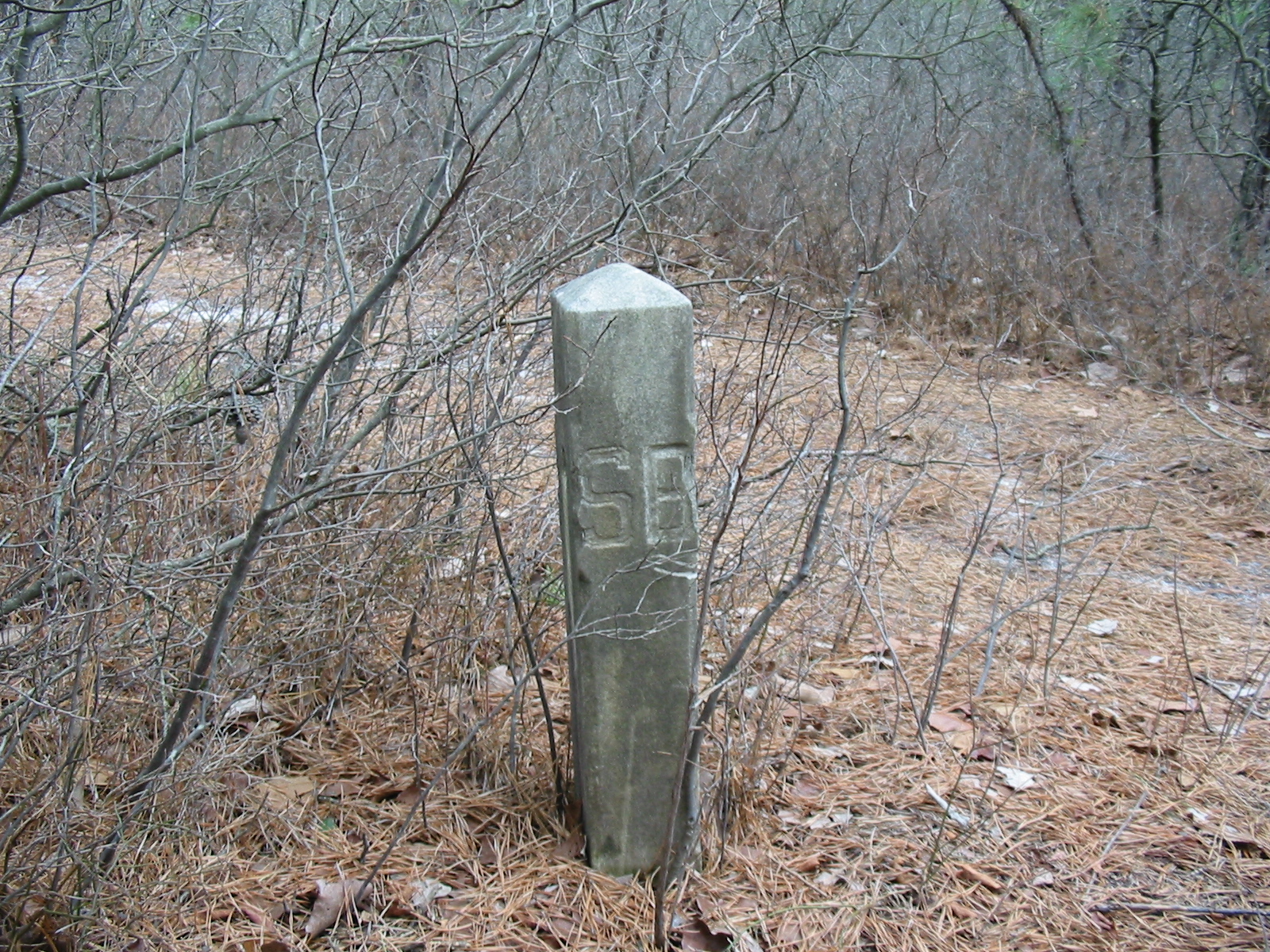 The Hunt for Red Oak Grove