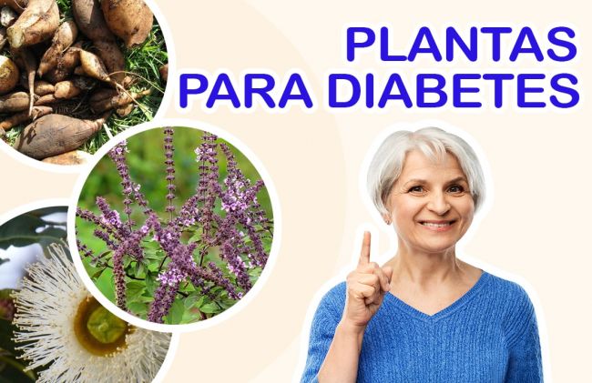 Plantas que curan y sanan la diabetes / mariguana y diabetes. Plantas Que Curan Y Sanan La Diabetes - Como Curar La ...