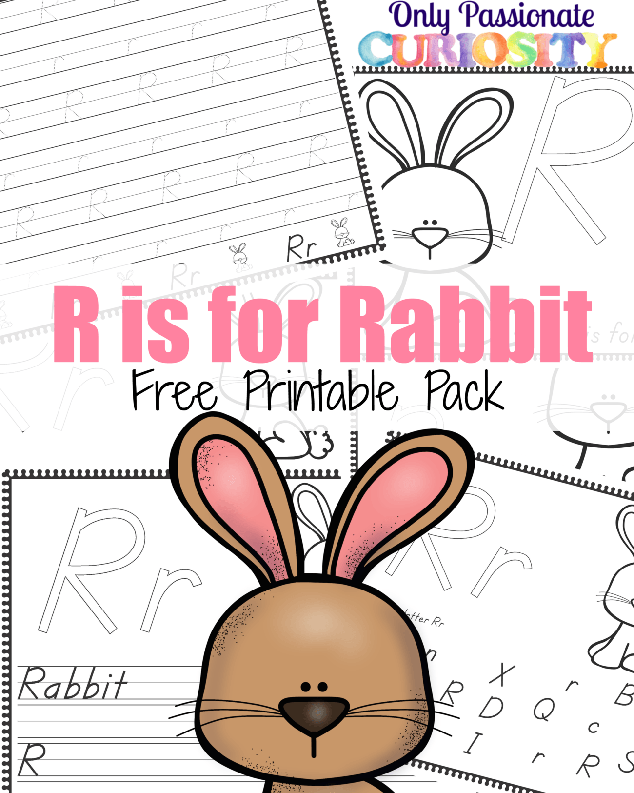 R is for Rabbit {ABCs for Me} Only Passionate Curiosity
