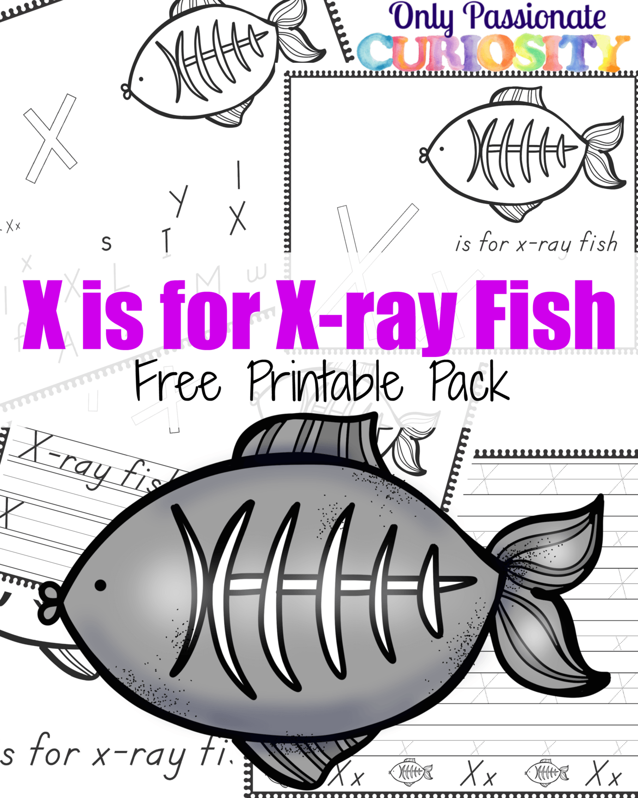 X is for XRay Fish {ABCs for Me} Only Passionate Curiosity