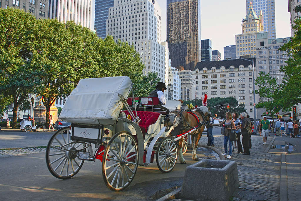 Visiter Central Park en calèche Partons en Voyage