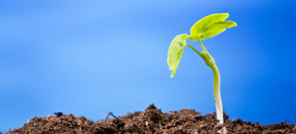 The Ministry Multiplier You Paul Chappell
