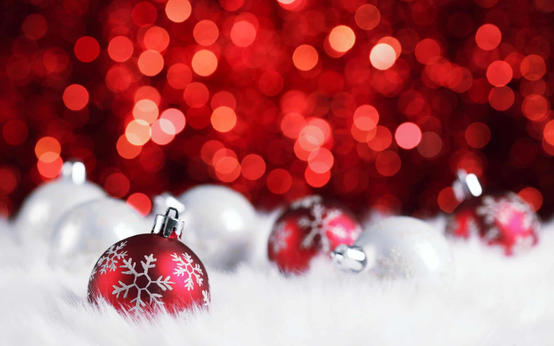 Download Holiday HD Wallpapers Free