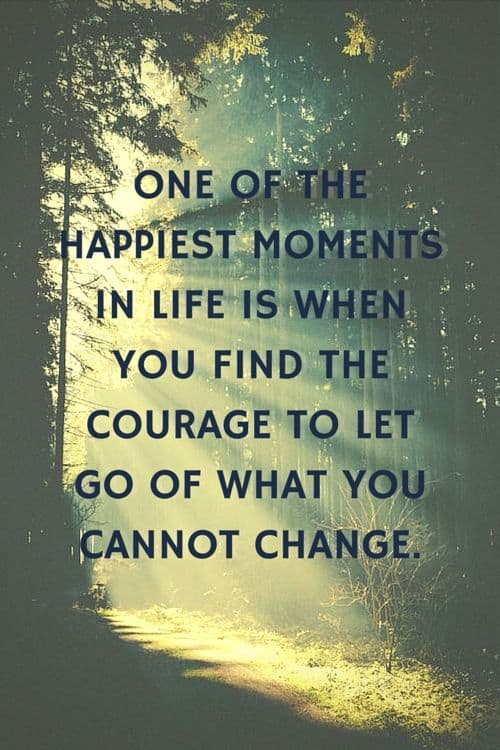 Top 100 Letting Go And Moving On Quotes With Images