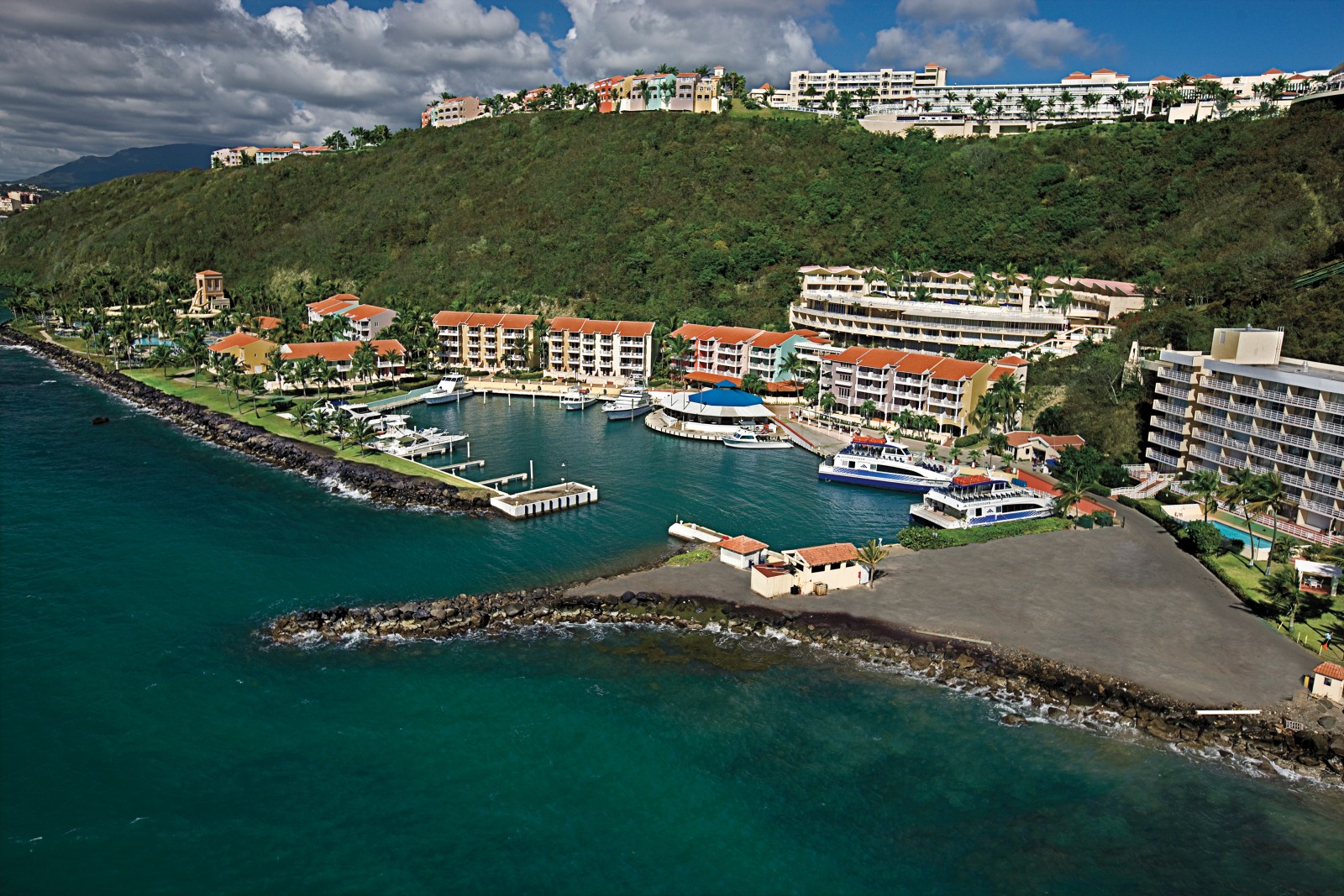 El Conquistador Resort Reef and Rainforest