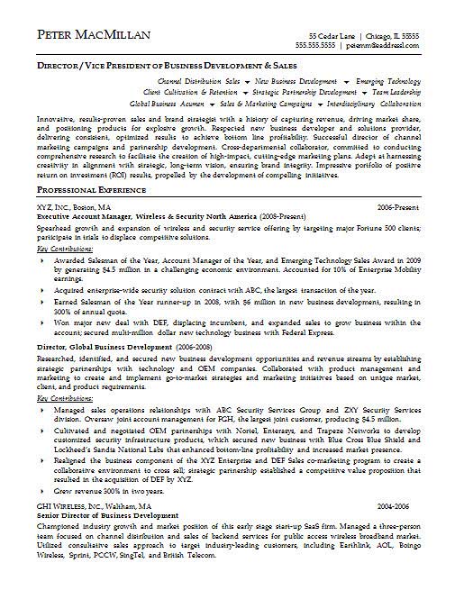 Account Executive Resume Example