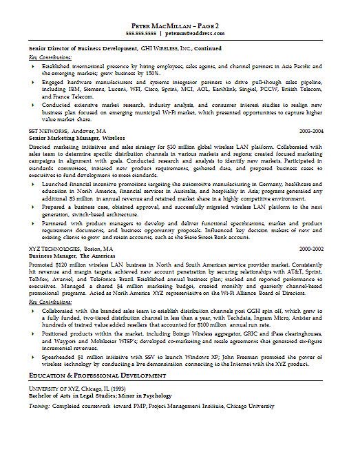 Account Executive Resume Example