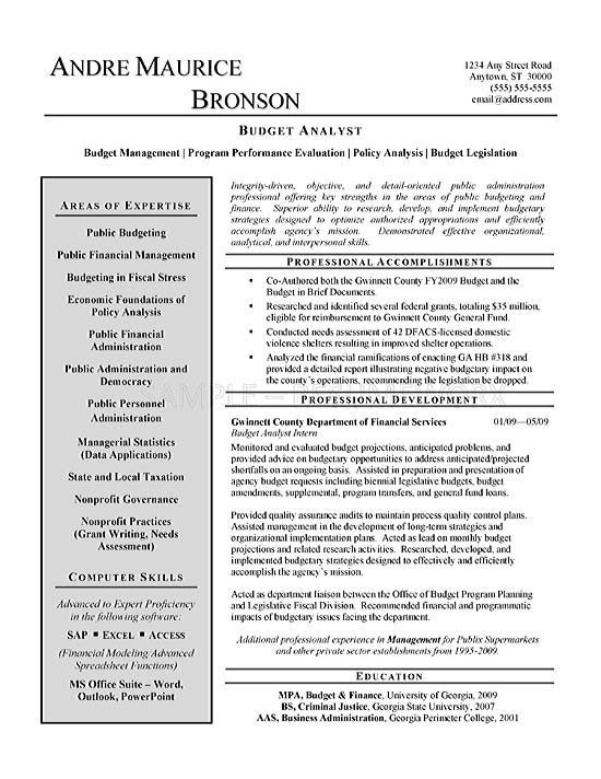Budget Analyst Resume Example