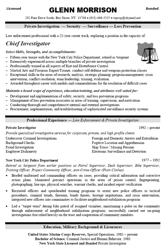 Security Officer Resume Example