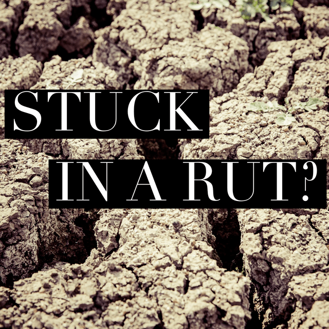 Stuck in a rut? Rhona Clews