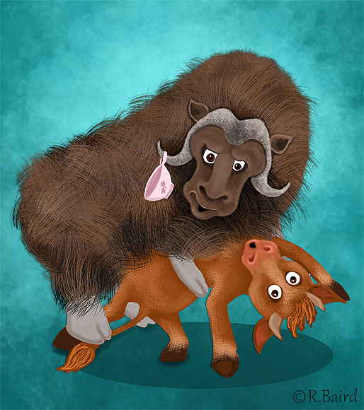 ox