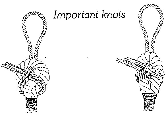 Important knots Hammocks and Hammock Chairsyour best source for