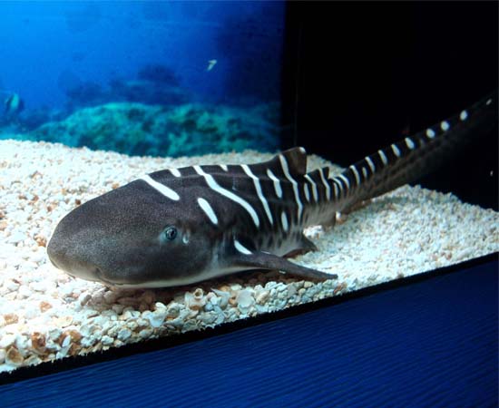 最新动态SOA WEB STATION Powered by 5thc!