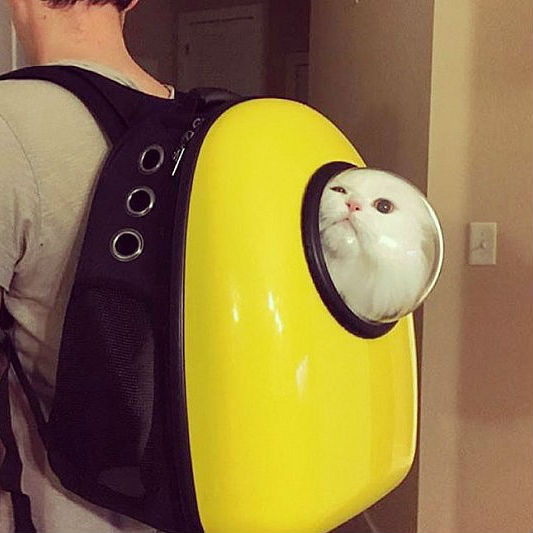 Shut Up And Take My Money Cool Gadgets and Geeky Products