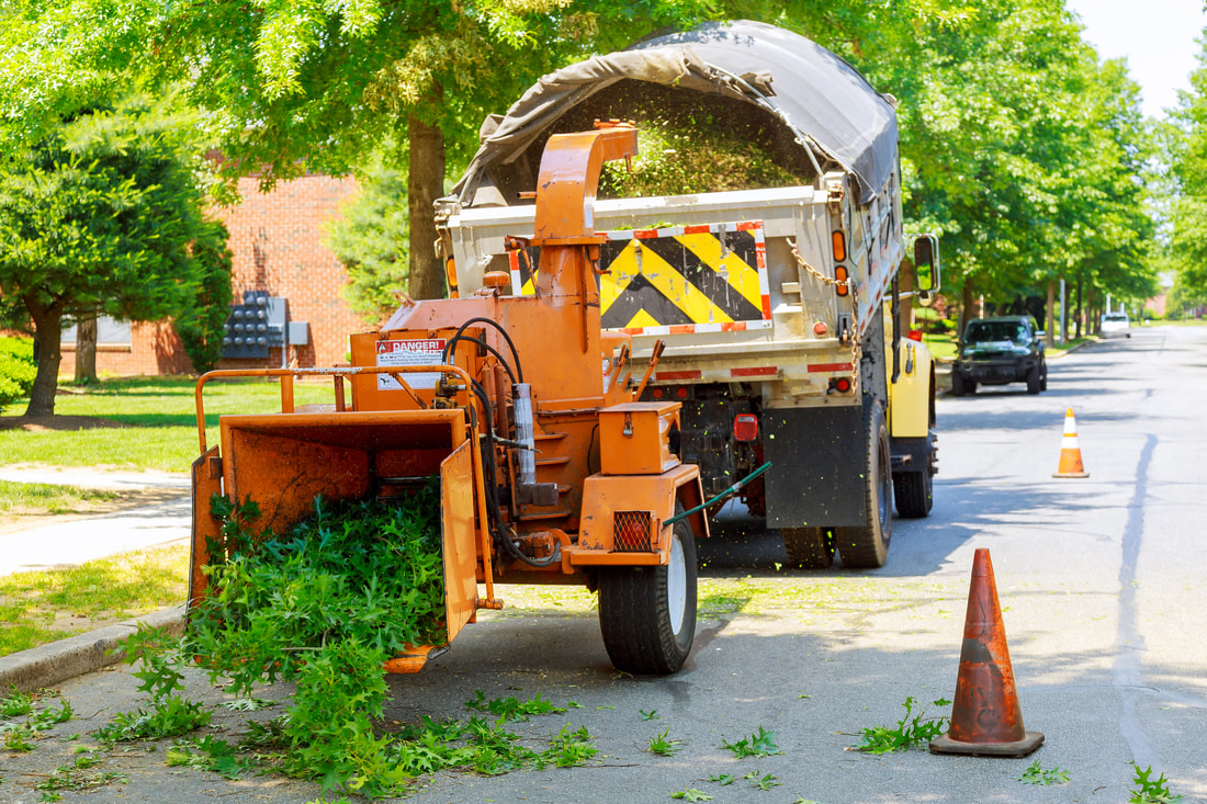 Pollock Pines Tree Services SIERRA PACIFIC