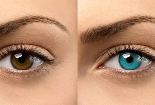 How to Change Your Eye Color with Honey, Does Honey Change Eye Color