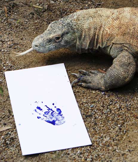 Les dragons ontils vraiment existé? Slate.fr