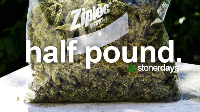 Half Pound • StonerDays Dictionary