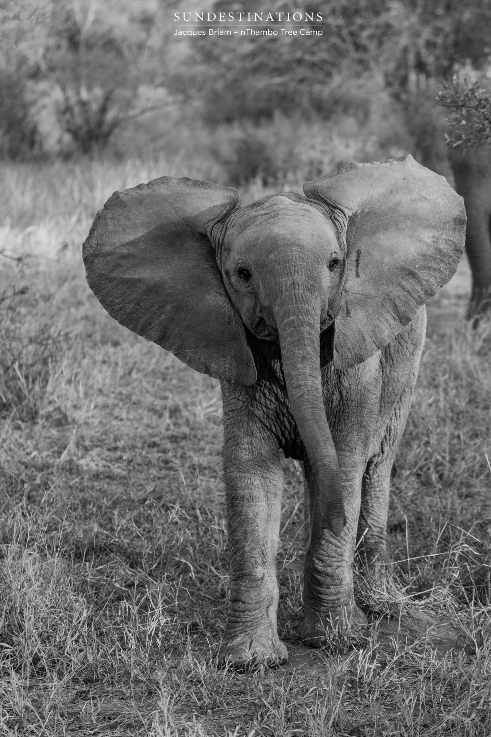 Week in Pictures All things wild and wonderful