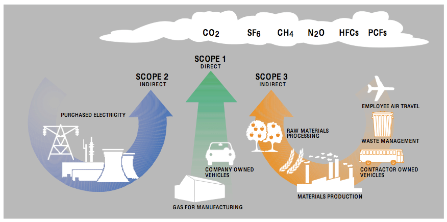How To Calculate Your Carbon Footprint Sustainable