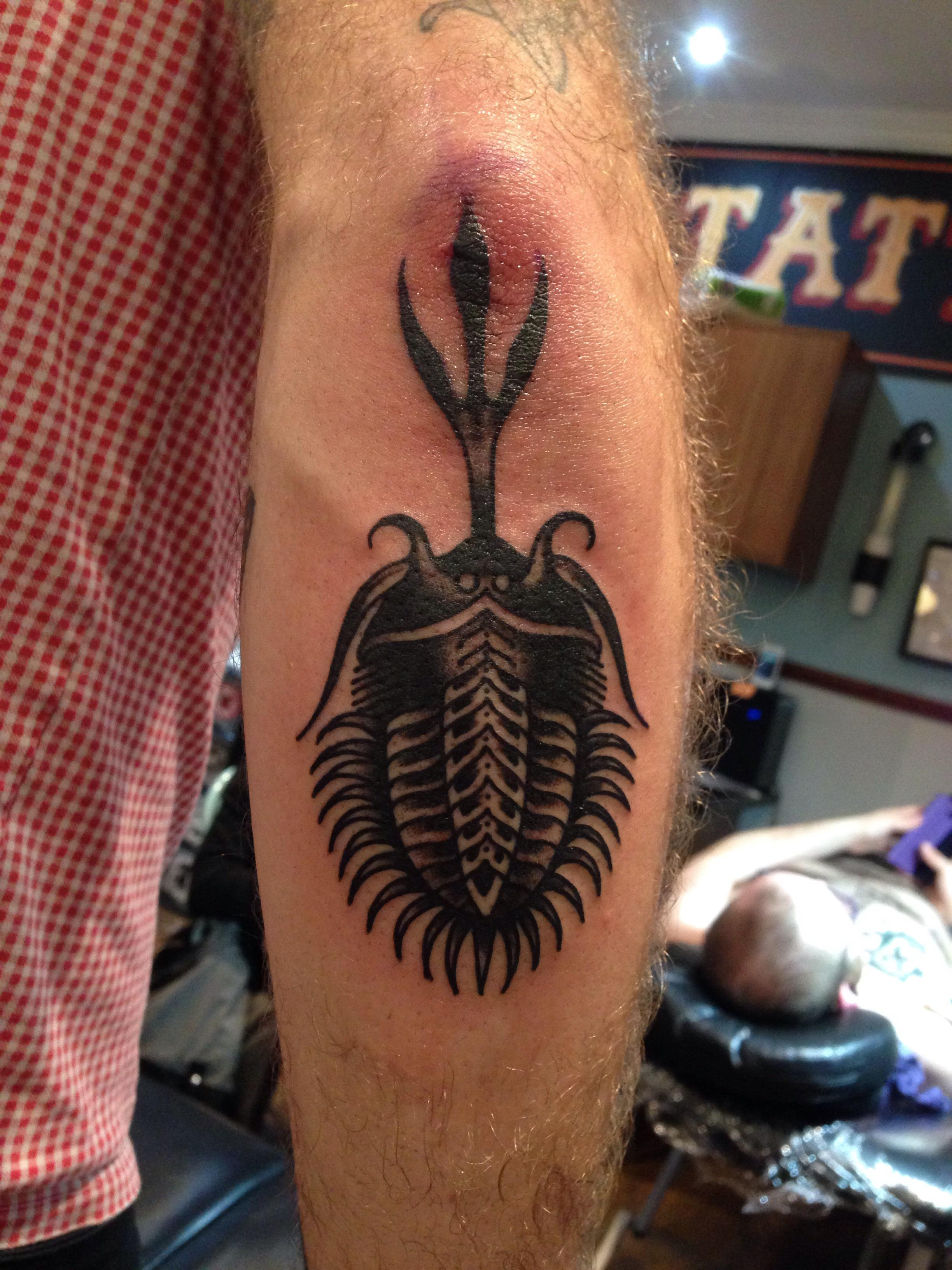 Tatouage Homme Coude Fossile