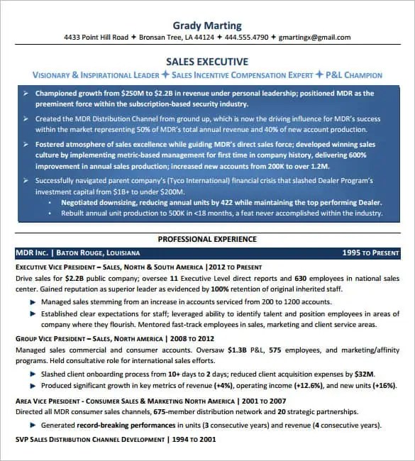6+ Executive Resume Templates Word Website, Wordpress, Blog