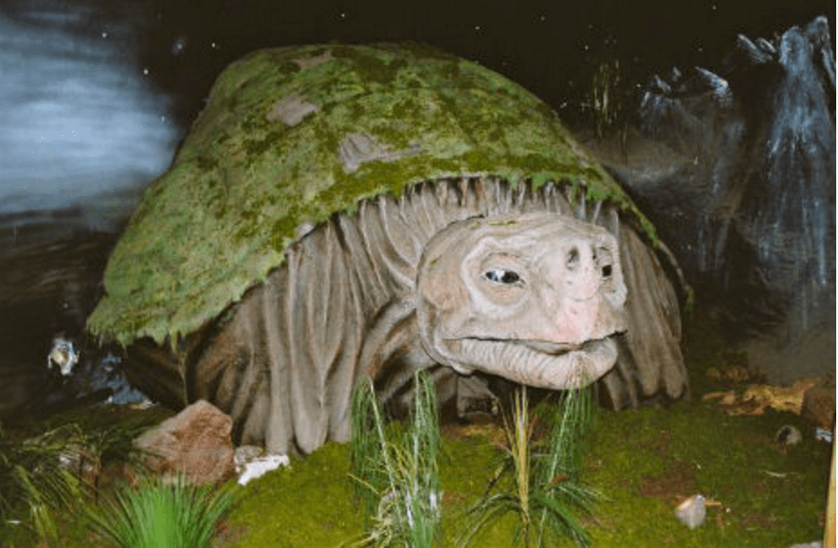Ride Falkor in The Never Ending Story Museum The Luxury Spot