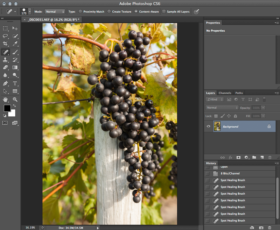 Color Effects with the Color Lookup Adjustment Dan Moughamian TipSquirrel