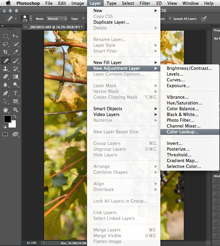 Color Effects with the Color Lookup Adjustment Dan Moughamian TipSquirrel