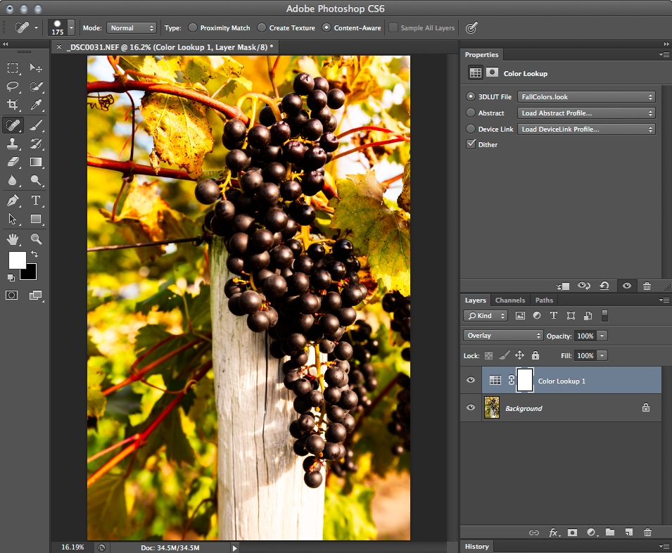Color Effects with the Color Lookup Adjustment Dan Moughamian TipSquirrel