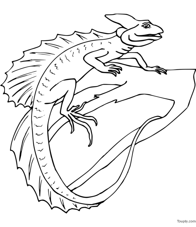 Coloriage Lézard