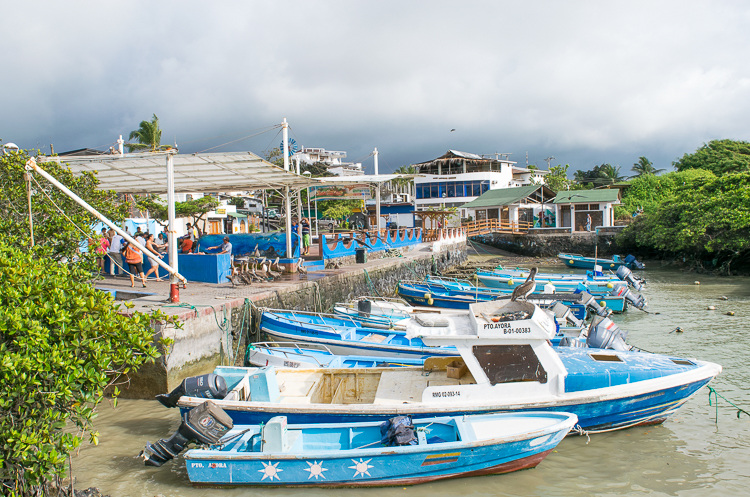 How to Book a Last-Minute Cruise to the Galapagos