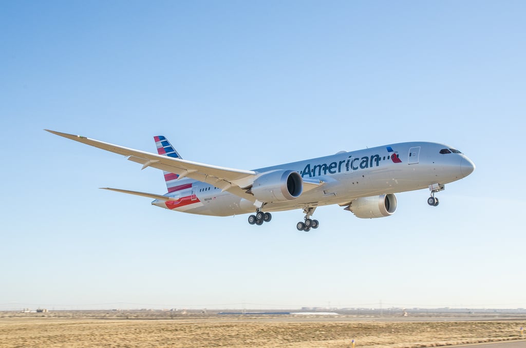 A Beginner's Guide to American Airline (AA) AAdvantage Miles US(03)