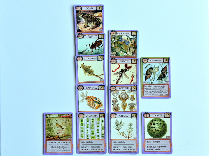Ecologies Card Game Rules