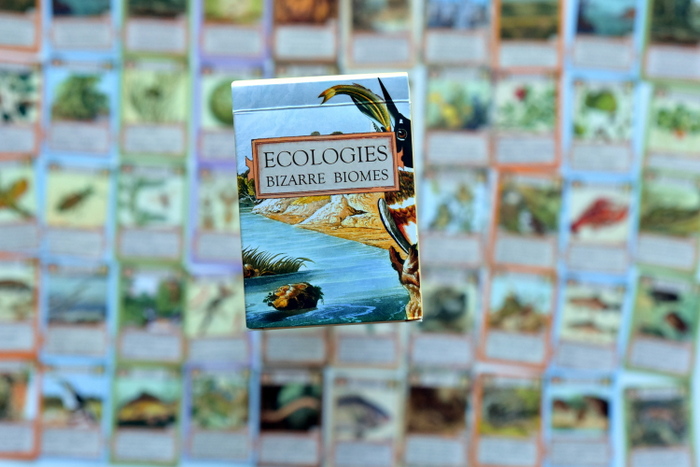 Ecologies Card Game Amazon Amazon 6 in 1 Fun Pack Card