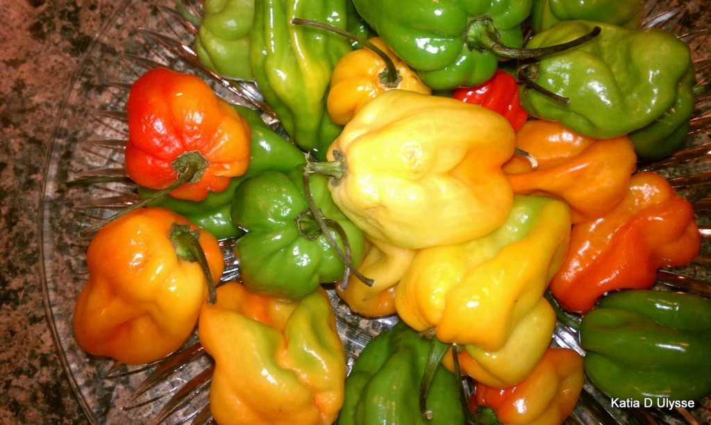 Piman Bouk for Haitian Pikliz (from Katia D Ulysse’s