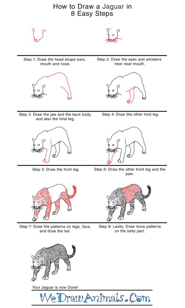 How To Draw A Realistic Jaguar