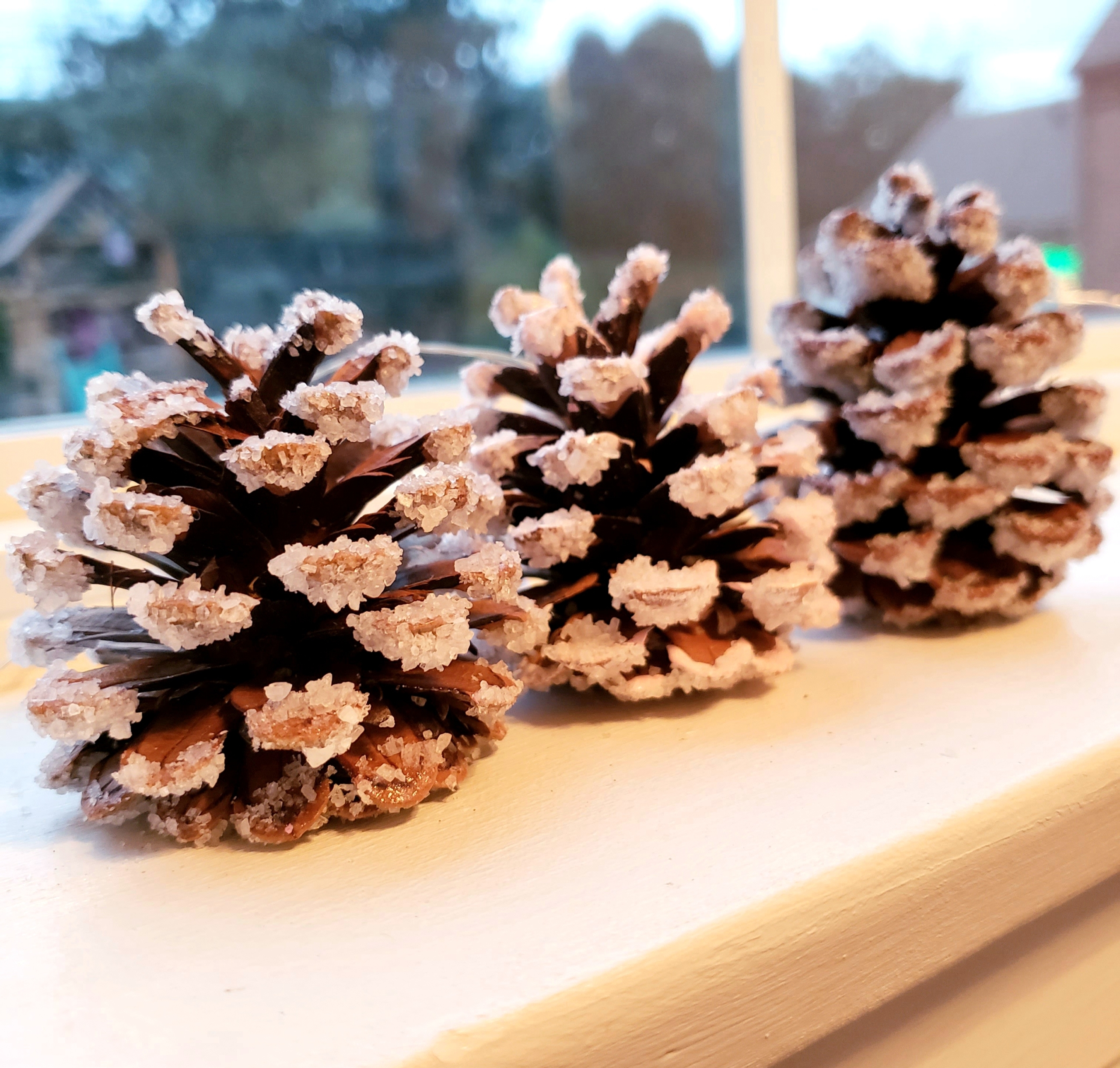 DIY Natural Snowy Pine Cones! What Mommy Knows