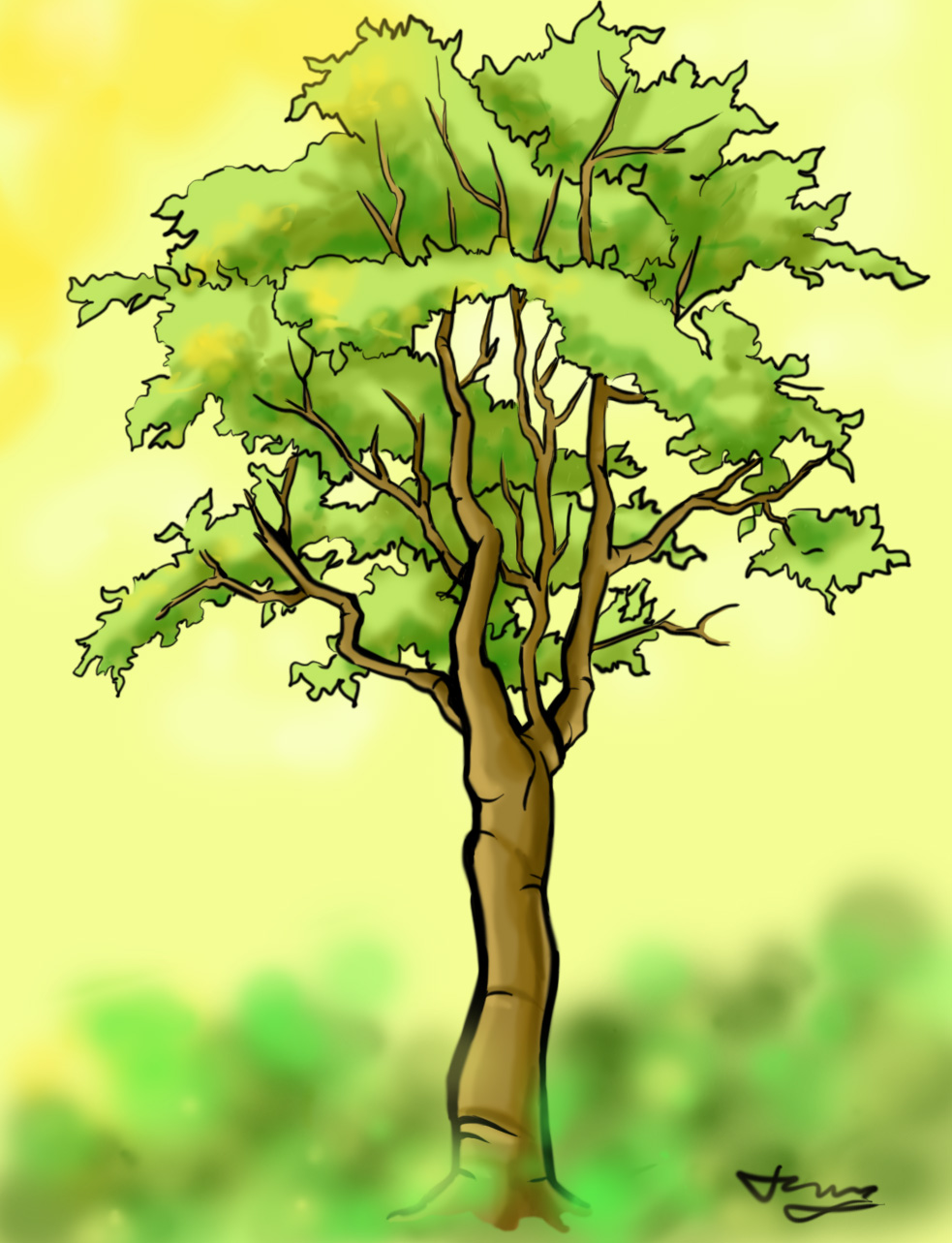 How to Draw a Detailed Tree 7 Steps (with Pictures) wikiHow